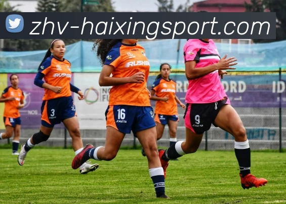 海星体育直播平台生态图